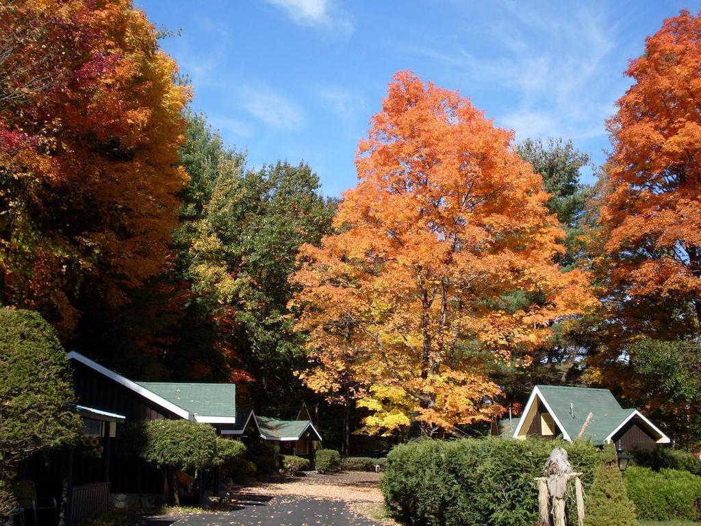 Amber Lantern Duplex Cottage Lake George Habitación foto